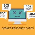 Server Response codes illustration